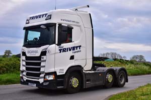 TRIVETT WT19 PTT 19dv0404