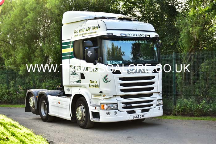 SEACLIFF SG66 OAE 19ed1041