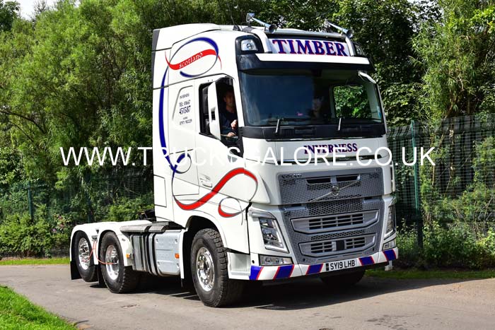 TIMBER SY19 LHB 19ed0360