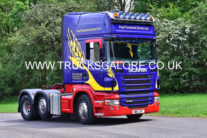 TOSELAND M80 JPT 19pb0221