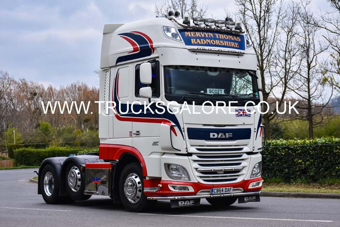 THOMAS MERVYN CB64 DAF 19su0060