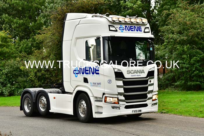 NENE FX19 UMW 20pb0399