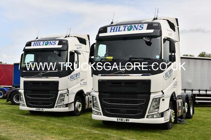 HILTONS AY18 LWH 22pb2663