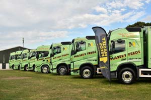 MASSEY FEEDS FLEET 24ch0727