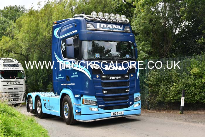 LOANE TIG 5561 24ed1175