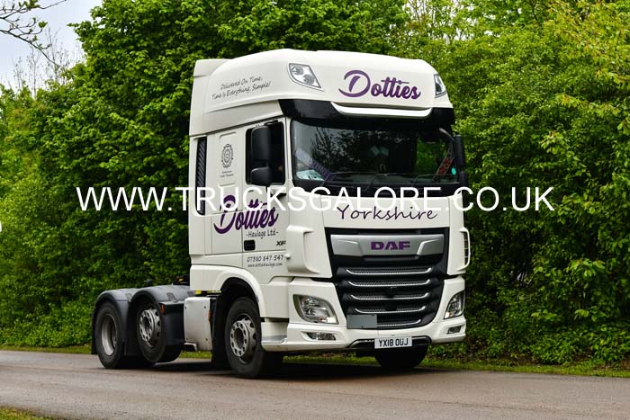 DOTTIES YX18 OUJ 24Lc1629