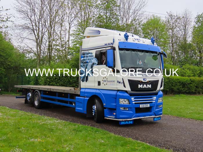 DW TRANSPORT CA11 DVV 24Lc2402