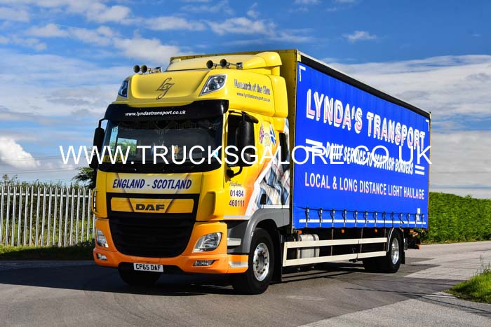 LYNDAS CF65 DAF 24nk0101