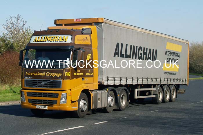 ALLINGHAM IHZ 7562