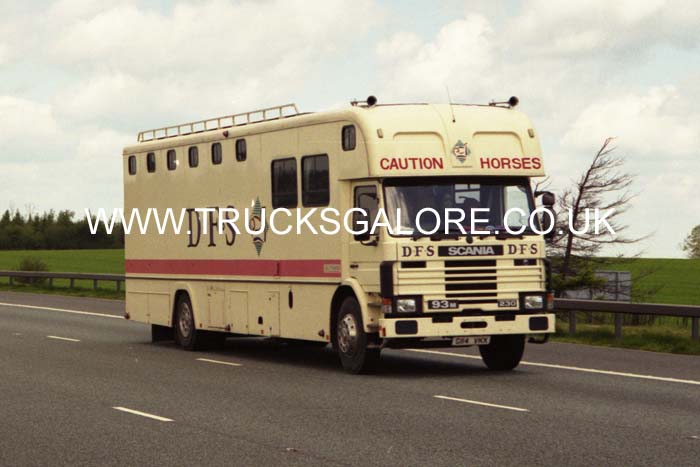 DFS (HORSES) G114 VKX