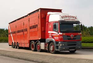 GIBSONS (GARSTANG) SW04 SYV