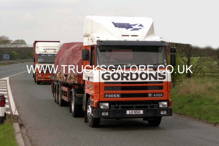 GORDONS L11 NSG