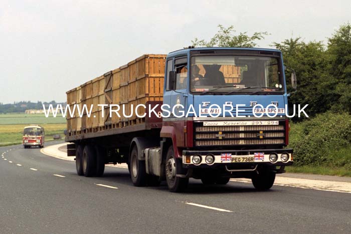 LEWIS TRANSPORT PEG 736R