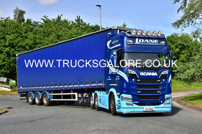 LOANE TIG 5561 20-0119