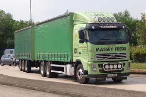 MASSEY FEEDS PO55 CGE