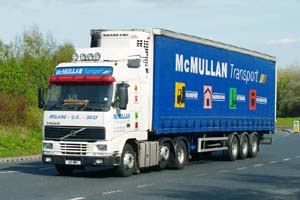 McMULLAN J19 MMT