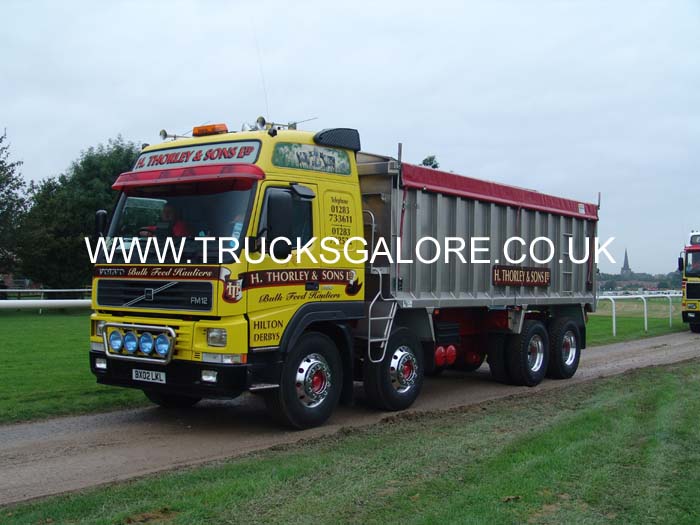 THORLEY BX02 LKL (2)