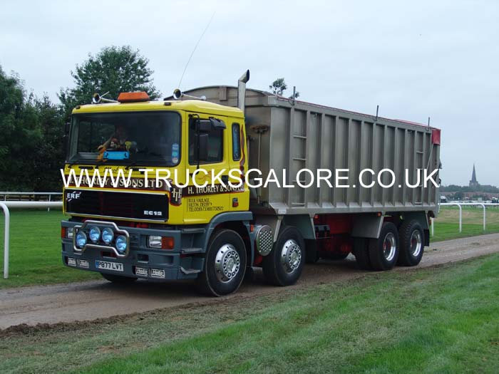 THORLEY P877 LVT (2)